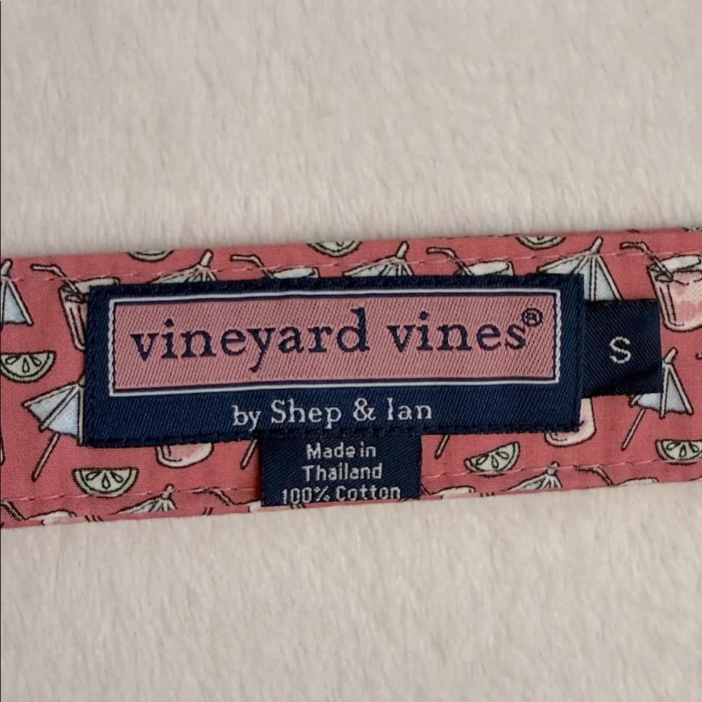 Vineyard Vines | Cocktail Drink Umbrella Classic D-Ring Cotton Ribbon Belt (S) - Picture 2 of 14